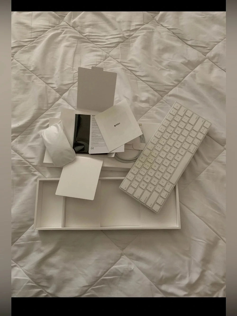 Apple magic mouse